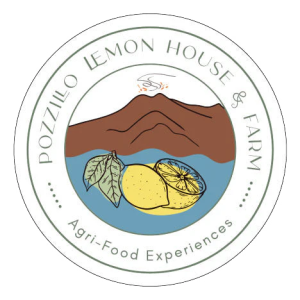 pozzillo_lemon_house_e_farm_-_cunzata_sicilia pozzillo_lemon_house_e_farm_-_cunzata_sicilia